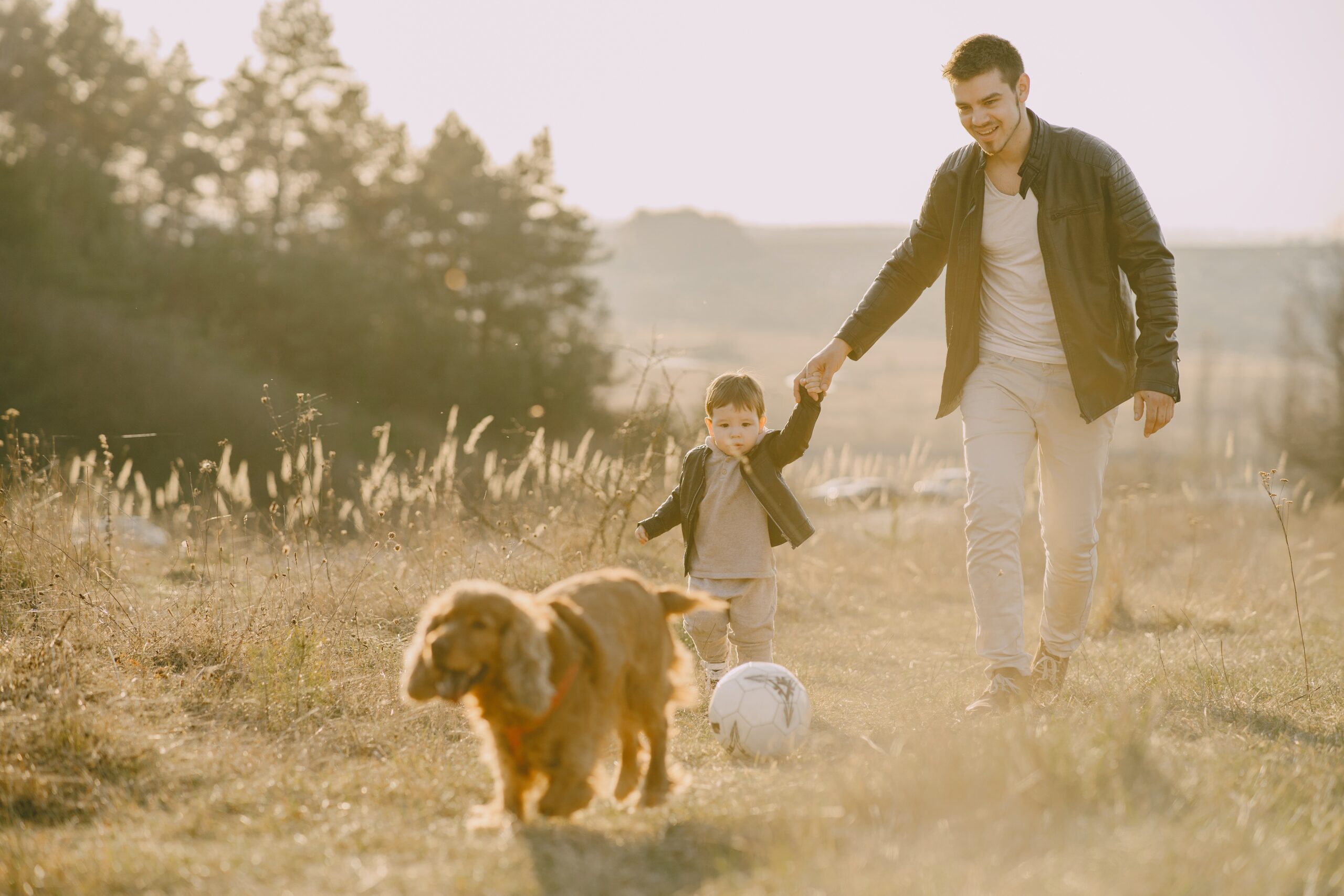 What Does Life Insurance Implementation Look Like? 1 pexels gustavo fring 4148847 scaled