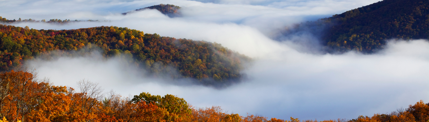 Exploring Investment Opportunities Beyond Large Cap U.S. Stocks