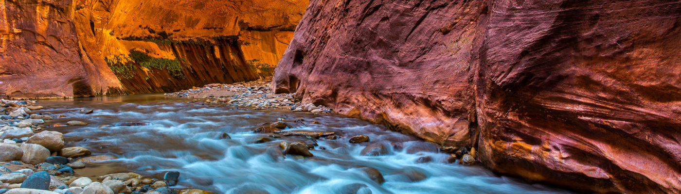 The Two Speed Economy What Consumer Debt Tells Us About Financial Health