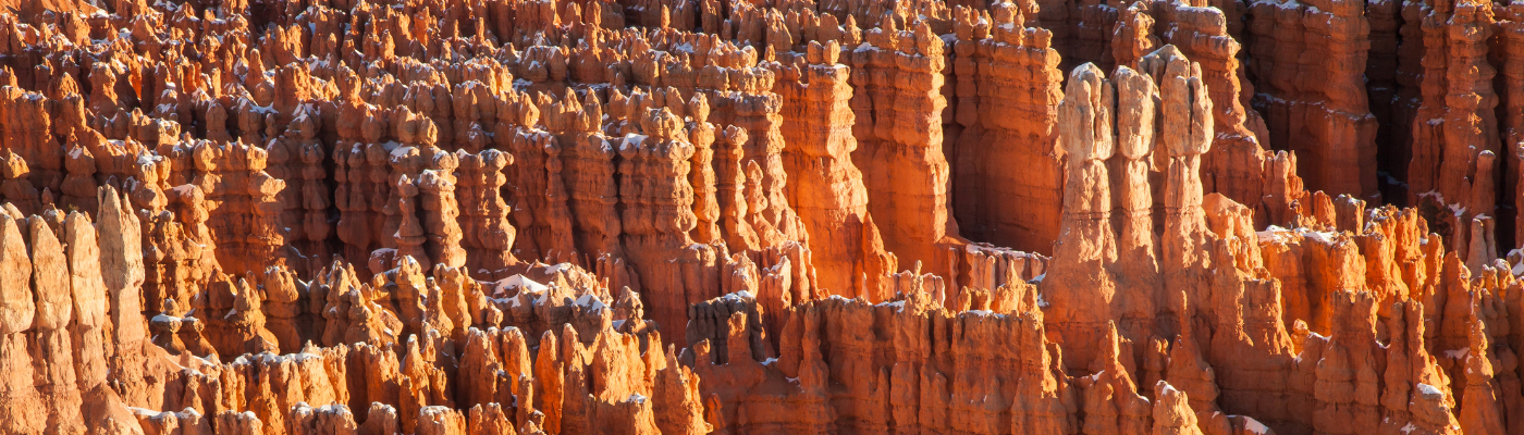 Understanding Behavioral Finance Protecting Your Portfolio from Common Pitfalls 1